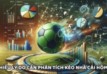 Today’s bookmaker odds – Information that bettors are most interested in Today's bookmaker odds