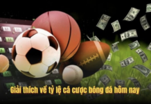 Tỷ Lệ Cá Cược Bóng Đá Hôm Nay Kèo nhà cái 5 Cập Nhật Nhanh, Chuẩn Tỷ lệ cá cược bóng đá hôm nay