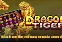 Play Dragon Tiger Real Money Game: Tips, Rules & Strategy Dragon Tiger real money