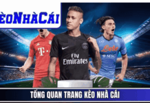 Keo Nha Cai Hom Nay: Your Complete Guide to Today’s Football Odds and Match Predictions Football odds