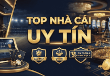 Trustworthy Bookmaker Reviews: Checking Evidence, Terms and User Support Bookmaker Reviews
